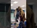 GUESS WHAT DAY IT IS HUMP DAY