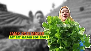 Panen Seledri di Kaliangkrik | ENAH BIKIN ENAK (07/10/26)