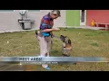 Pet of the Week Adopt Ares Tucson s lovable 6-year-old Mastiff needs a home