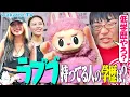 Download Lagu 【頭悪そうやな】大バズりアイテムは低学歴の印！？ラブブ持ってるヤツの学歴を徹底調査！【wakatte TV】#1313