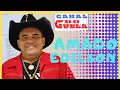 Download Lagu AMADO EDILSON APAIXONADO POR BREGA @canaldoguela7525