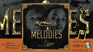 afronerd ft lizwi melodies official audio 