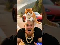 The cat taught the man a good lesson.🐈👵 #trending #viral #funny #ytshorts #ytyoutube