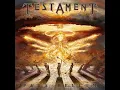 Download Lagu Shadow People (Testament)