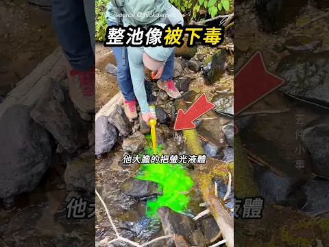 讓底下世界現形🔍