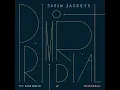 Satin Jackets feat. feat. Niya Wells - Primordial