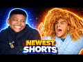 Lagu Try Not To Laugh: Mark Adams NEWEST FUNNY SHORTS 2026 pt.1