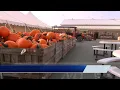 Huber s Orchard and Winery named 8th best pumpkin patch in U S