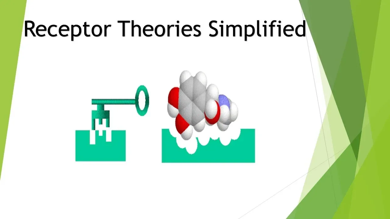 Theories of Receptors- Simplified