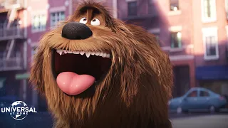 the secret life of pets 1 2 the extended preview bundle