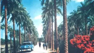 فلفل كرجي مقام الراشدي                                دندنها