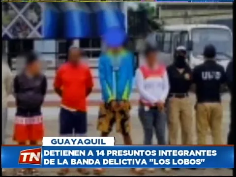 Detienen a 14 presuntos integrantes de la banda delictiva Los Lobos