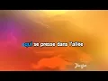 Karaoké Belle demoiselle - Christophe Maé *