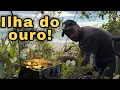 Download Lagu Exploração na ilha do ouro nos levou até tesouro imensurável!
