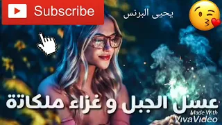 اجمد حاله واتس اب رومنسيه لحمو بيكا عسل الجبل وغزاء ملكاتة نظره عينيك محتاجه افوكاته 