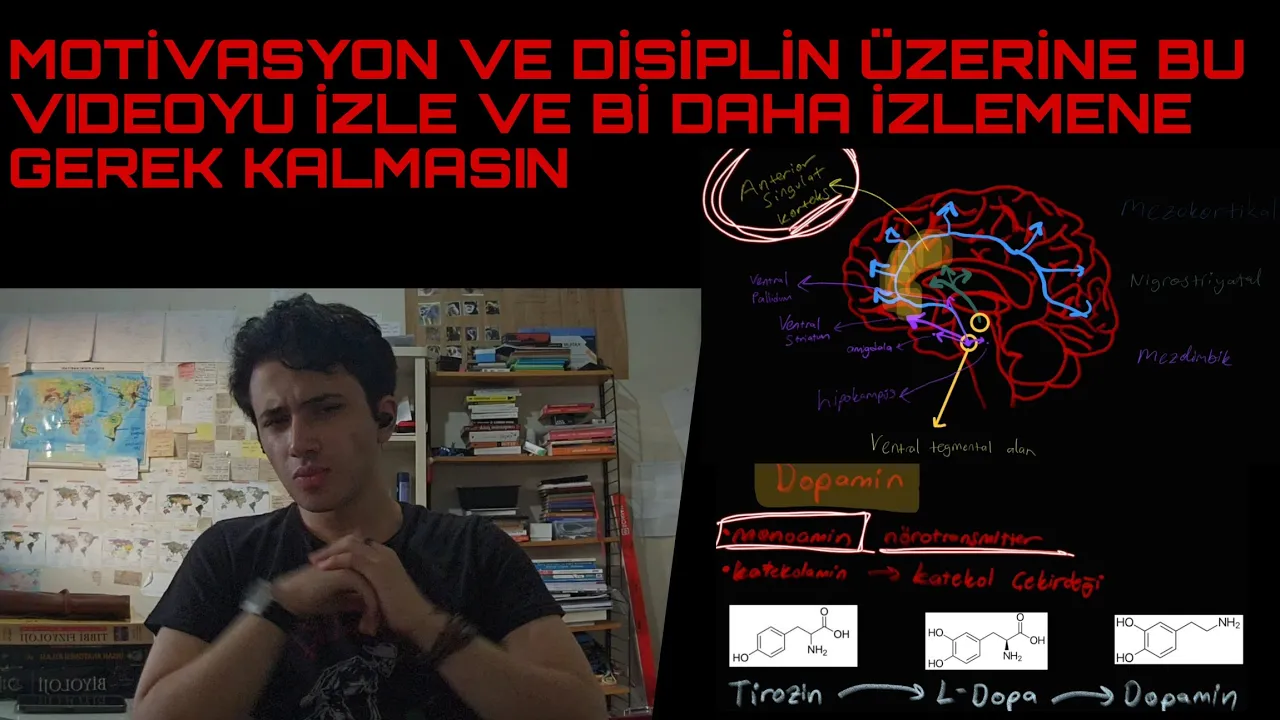 Ders Çalışma Motivasyonu Sağlamanın Bilimsel Yolu | Evrimsel ve Nörofizyolojik açıdan inceleme.