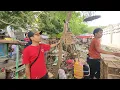 Download Lagu BURUNG MASTERAN INI ADA NYA SATU TAHUN SEKALI SUARANYA  JOS