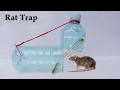 Download Lagu Make Easy Mouse/Rat Trap | How To Make Water Bottle Mouse/Rat Trap At Home