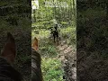Download Lagu Newbies s having a terrific trail ride