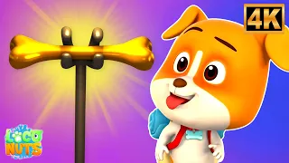 Hunt for the Golden Bone | A Magical Puppy Adventure | Kids Cartoon Story