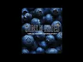 Download Lagu Guns n Roses - The Blueberry Bankruptsy