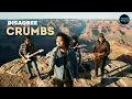 Disagree • Crumbs (Cover) • Rock Orchestra Version
