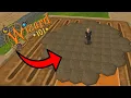 Gardening Guide for Beginners Wizard101