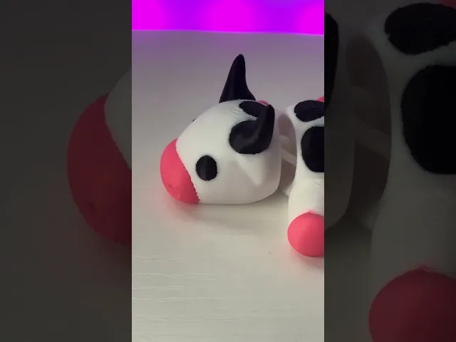 Flexi Cow video thumbnail