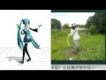 Download Lagu Hatsune Miku   Ievan Polkka Dance Comparison