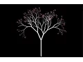 Fractal Tree Generator