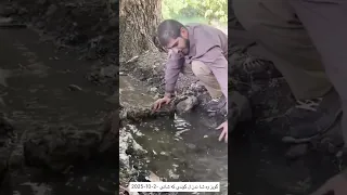 وه شا ندنا گويزا ل گوندى كه شانى           دندنها