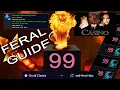 THE SoD Feral guide -