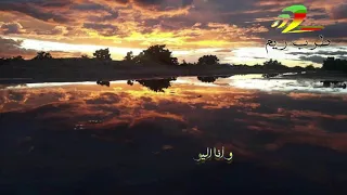 ريشة الفن ديمي منت اب                دندنها