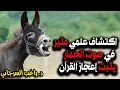 اكتشاف علمي مثير في صوت الحمار يثبت إعجاز القرآن