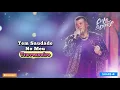 ferrugem - Te Perdi Mas Não Te Esqueci (Pagode Romântico 2026) 💔🎶