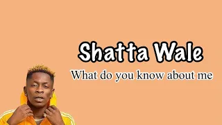 shatta wale what do you know about me lyrics video 