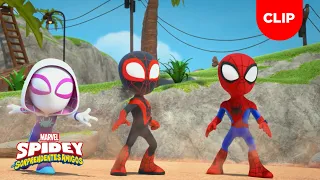 Spidey y sus sorprendentes amigos | Clip | Misterio en Goblin Island