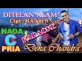 Download Lagu DITELAN ALAM KARAOKE NADA PRIA