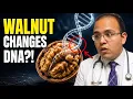 Researchers Didn t Expect Walnuts To Do This To Your DNA Dr Eduardo Perez Alba