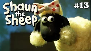 Download The Dog Show | Shaun the Sheep Season 4 | Full Episode MP3