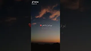 يهون السهر كرمال الحب   دندنها