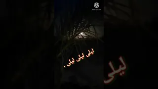 ليلى لاعت قيس نجن       دندنها