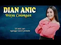 Download Lagu DIAN ANIC - WAYU COLONGAN (Lirik)