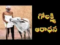Download Lagu Cow Go Lakshmi Aradhana - Ramana Maharshi