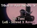 Download Lagu Sei Tumi - Lofi [slowed X reverb]