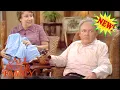 Download Lagu All in the Family Full Episodes 2025 🍅 Cousin Liz 🍅 American Hot Sitcom Series