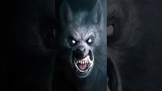 Werewolf Sound Effect 