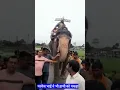 Download Lagu रावण के हाथी को पकड़ने की कोशिश करते परवेज भाई