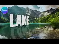 Create 3D Perspective Text with Reflection in Canva - EASY PRO in 5 Mins