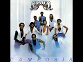Shake Your Pants - Cameo
